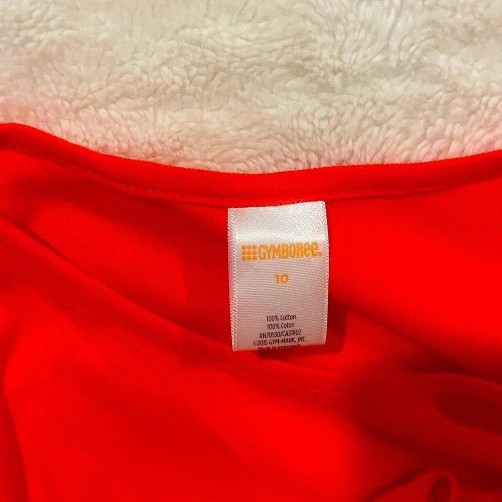 Gymboree Outfit. Long sleeve tee w/ tiered ruffle skirt. Orange + navy Sz 10 EUC